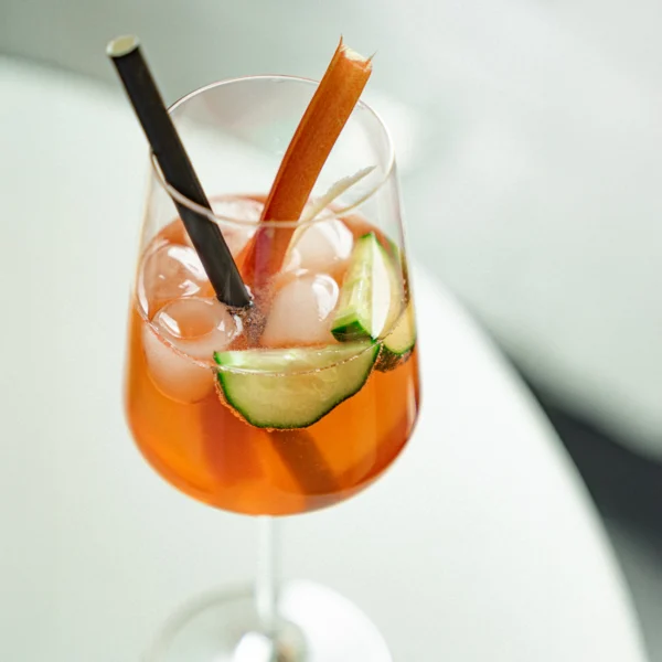 Bio Sirup Rhabarber-Gurke – Bild 5